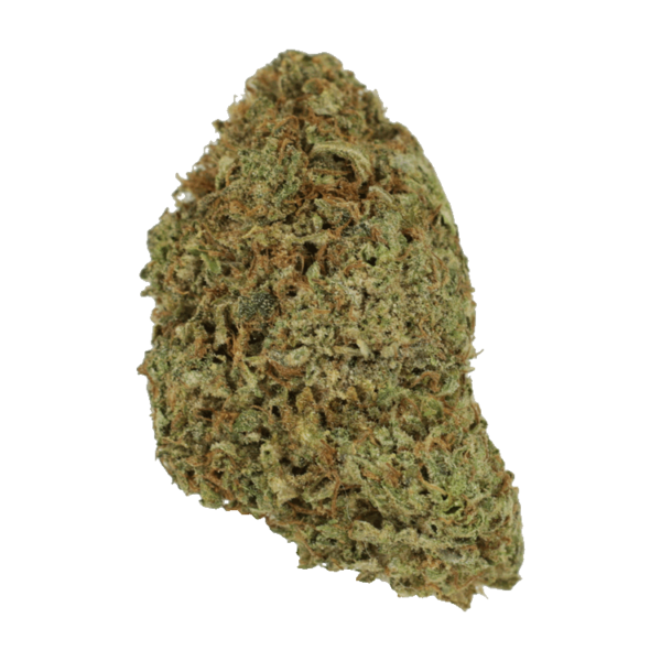 Super Pink | The Healing Co Canada