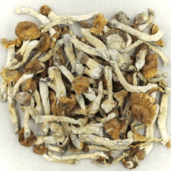 Florida White | The Healing Co Canada