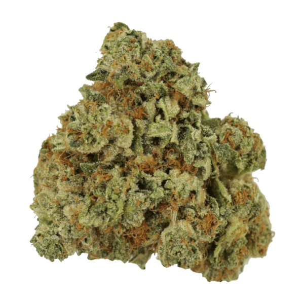 Laughing Gas | The Healing Co Canada