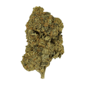 Cherry Punch | The Healing Co Canada