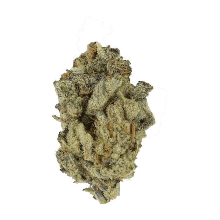 Gorilla Butter | The Healing Co Canada Gorilla Butter | The Healing Co Canada