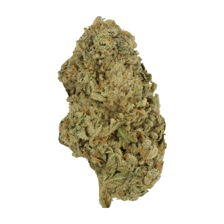 Unicorn Poop | The Healing Co Canada Unicorn Poop | The Healing Co Canada