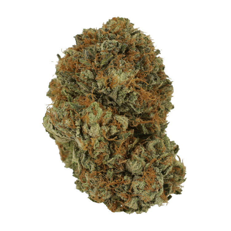 Sherbert | The Healing Co Canada Sherbert | The Healing Co Canada