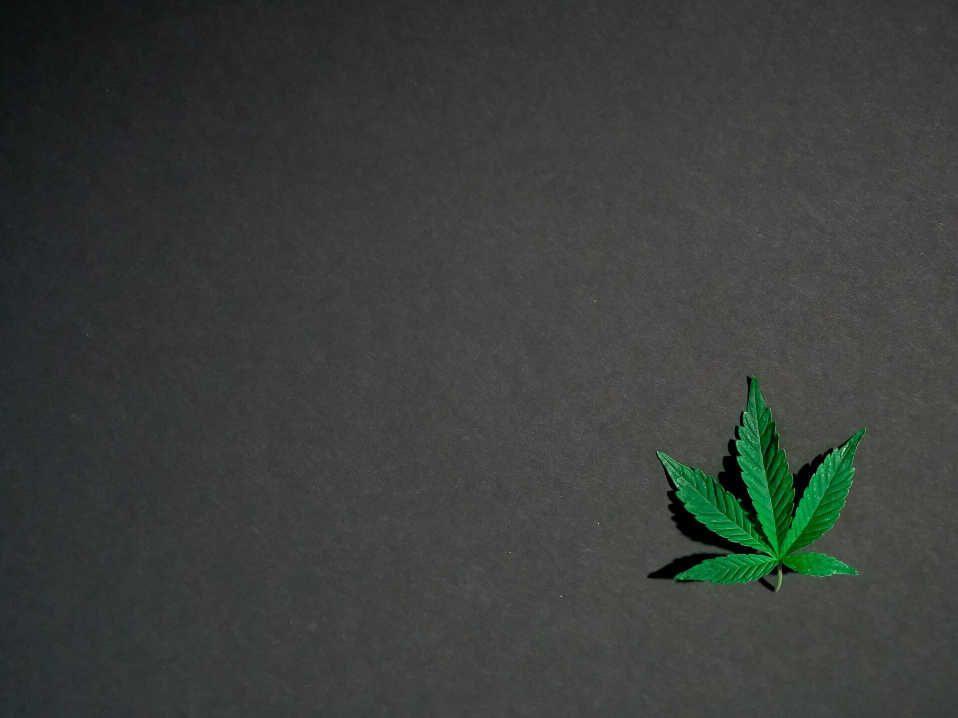 Hybrid - weed | The Healing Co Canada