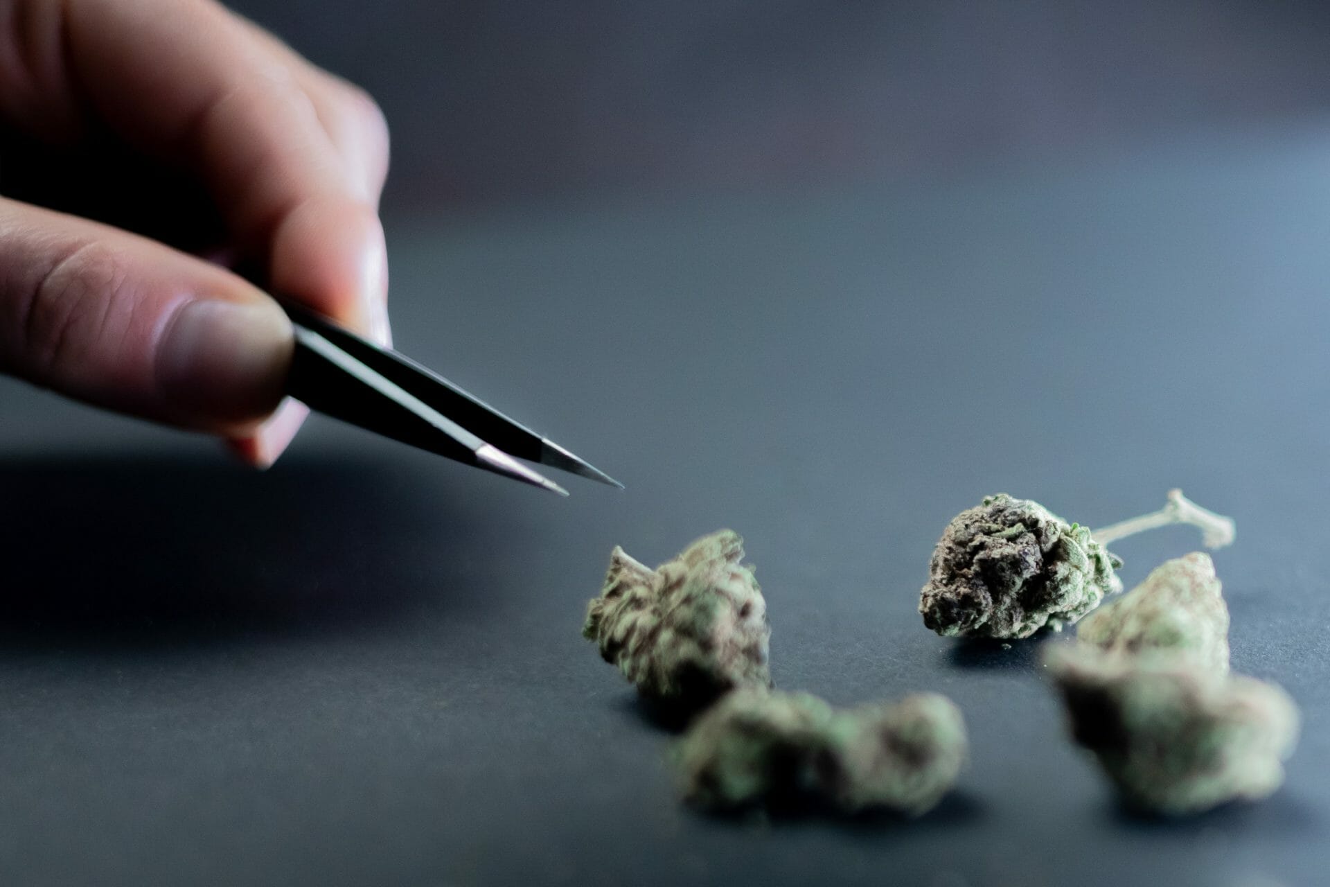 | The Healing Co Canada Buy cannabis Online Canada | The Healing Co Canada