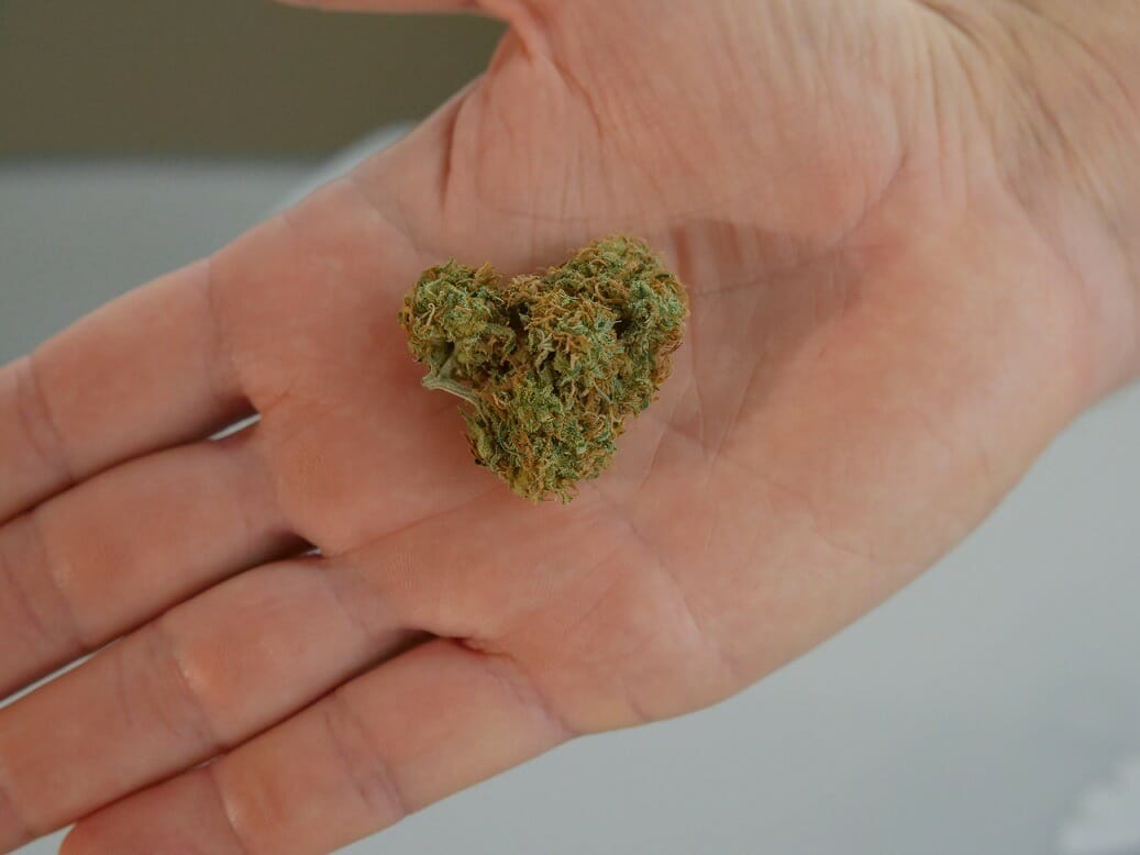 cannabis marijuana Canada | The Healing Co Canada