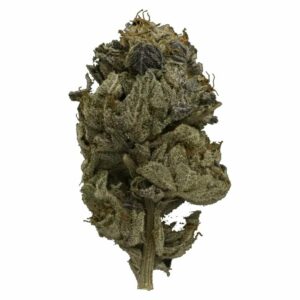 The Healing Co Canada - Pink Gas Strain | The Healing Co Canada