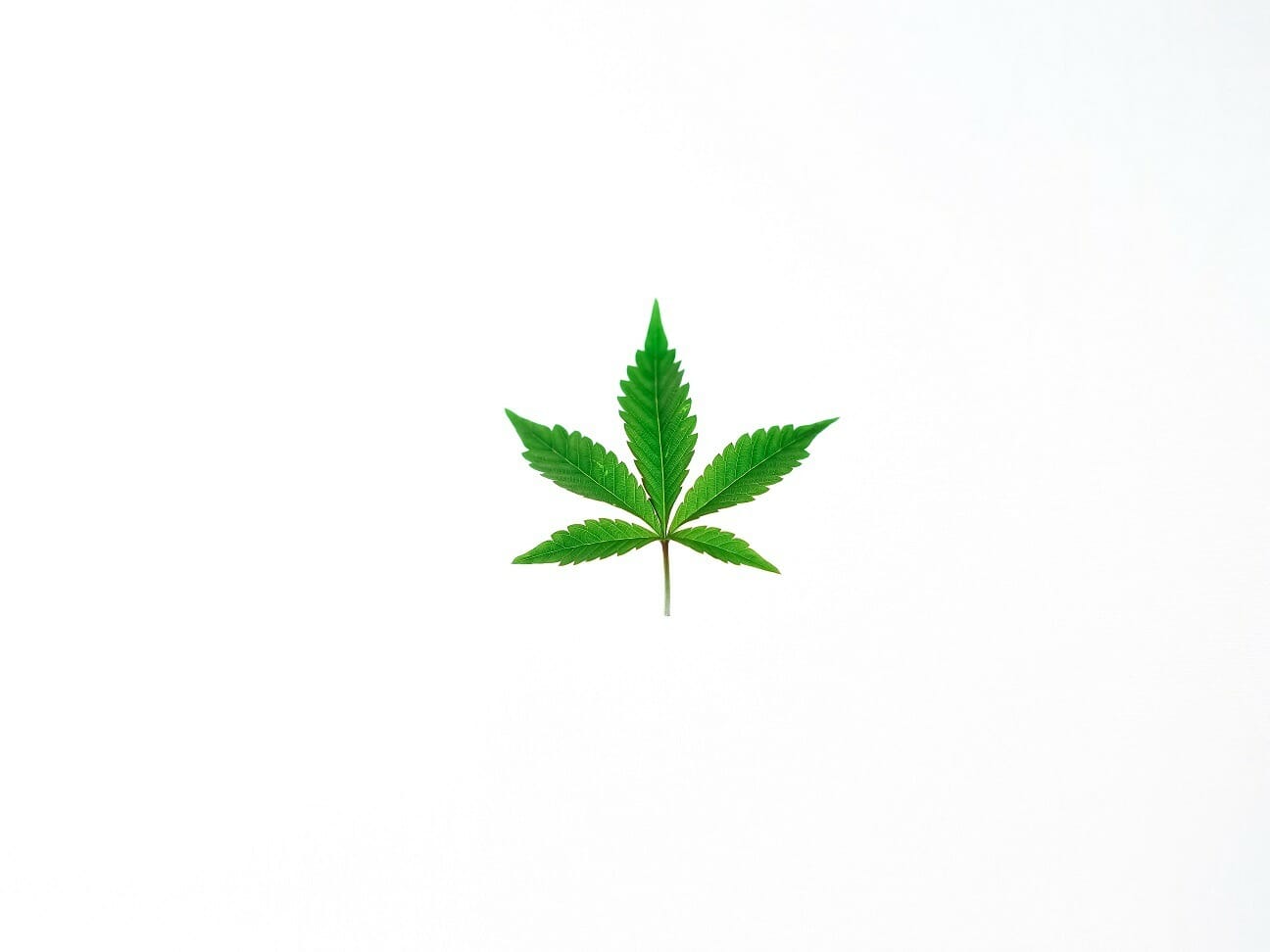 Benefits of Shopping in a BC cannabis Online Dispensary | The Healing Co Canada