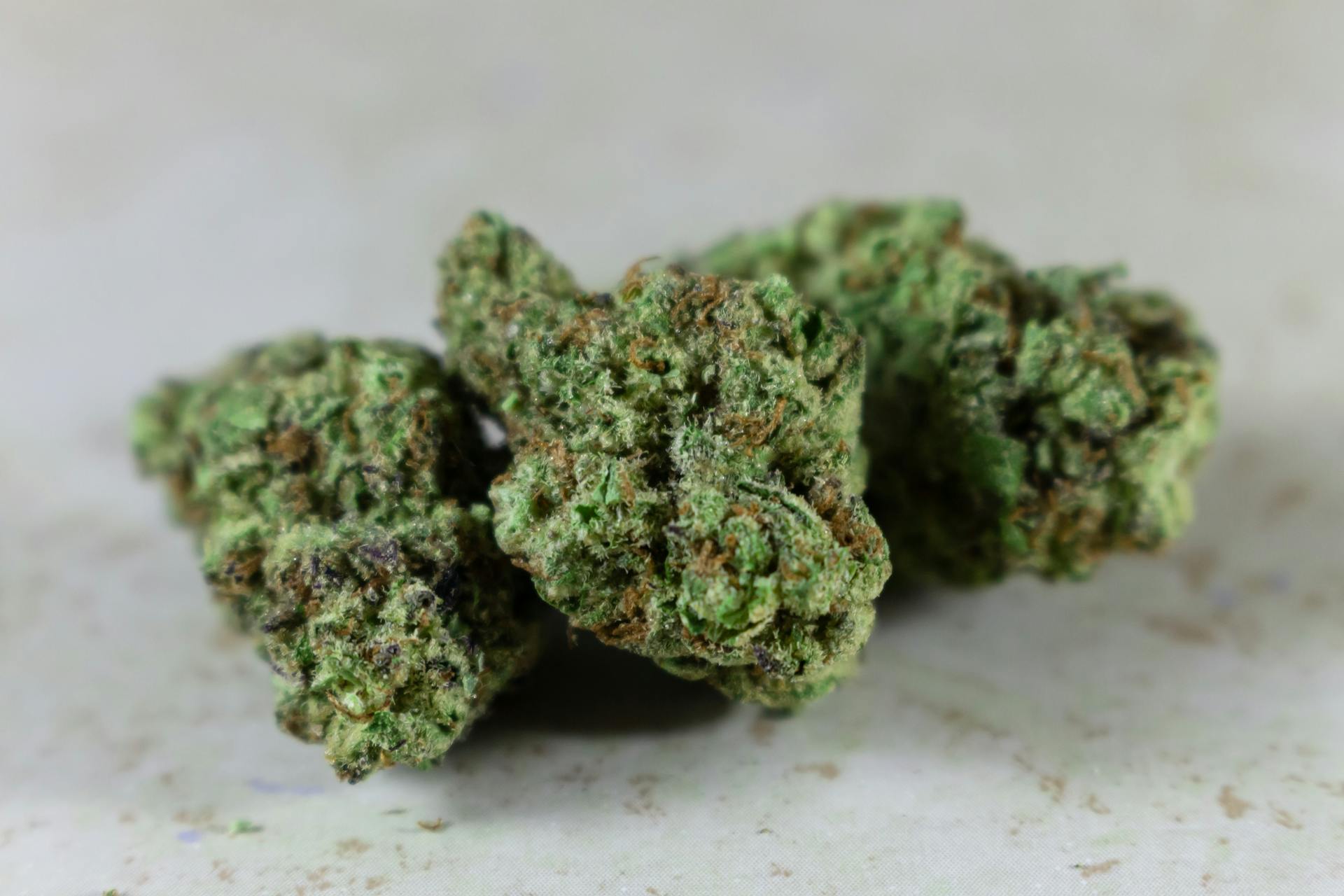 | The Healing Co Canada Best Indica Online in Canada | The Healing Co Canada