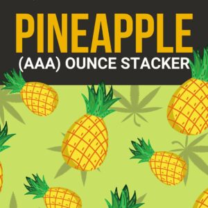 Pineapple 1 OZ Kit | The Healing Co Canada